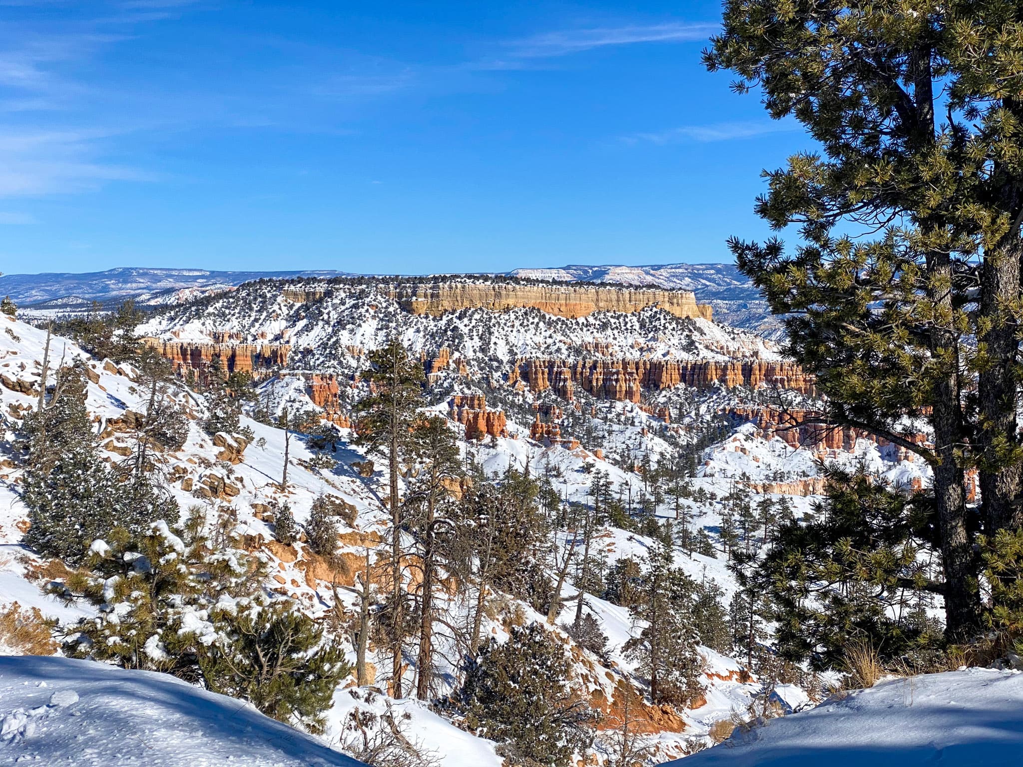 Utah