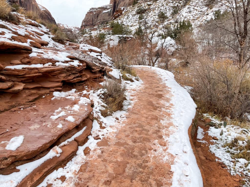 Canyonlands National Park and Dead Horse Point In One Day