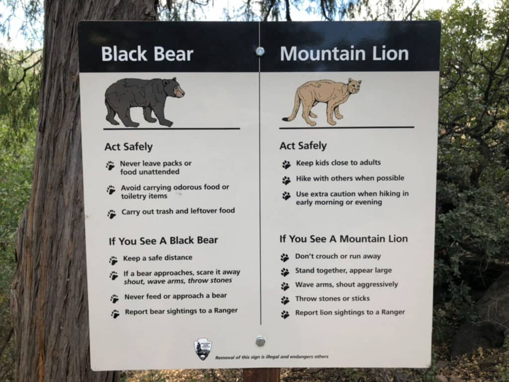 big bend national park south rim trail signs