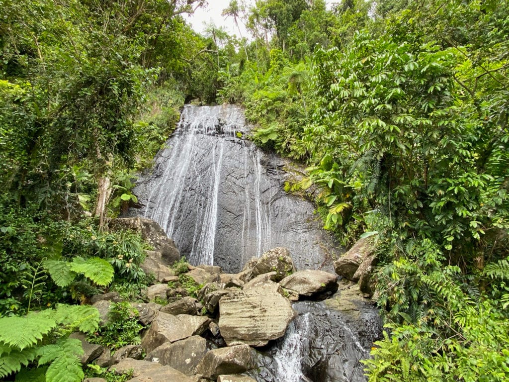 el-yunque-national-forest